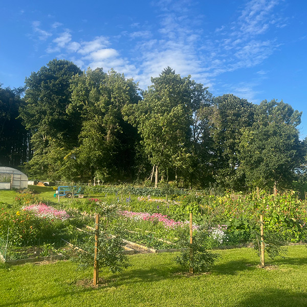 The-Gardens-Gallery-Image