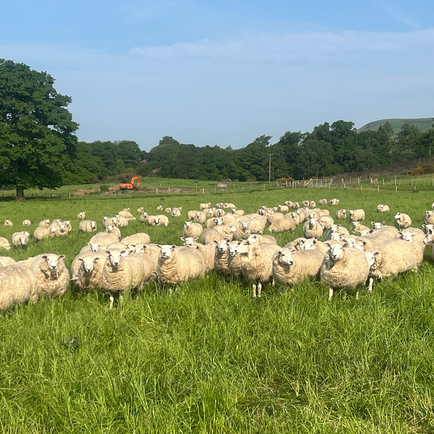 Within-the-Farm-Gallery3